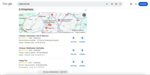 Google maps SEO local vétérinaire Lille