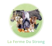 Logo La Ferme Du Strong